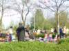 koninginnedag 2012 053_small.jpg